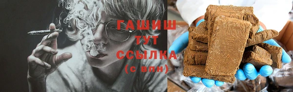 гидра Новодвинск