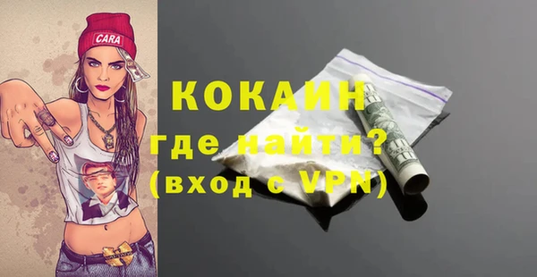 гидра Новодвинск