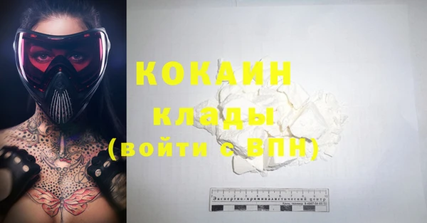 гидра Новодвинск