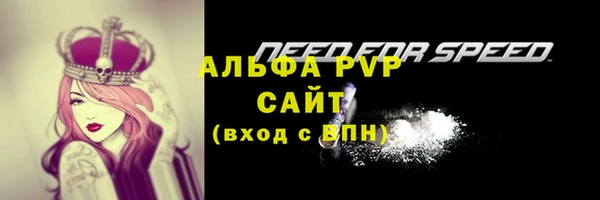 гидра Новодвинск