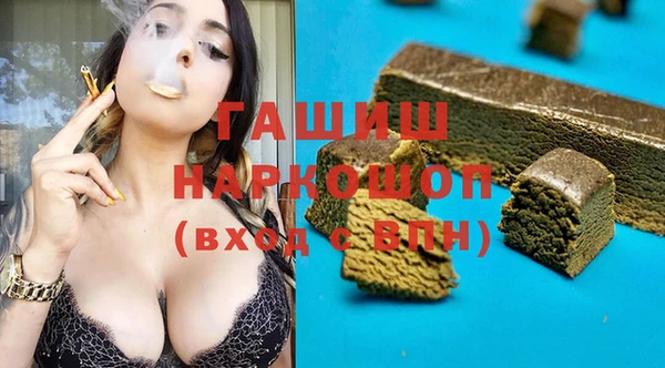 гидра Новодвинск