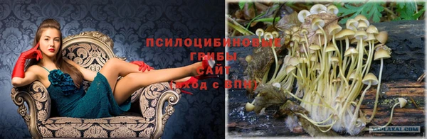 spice Новозыбков