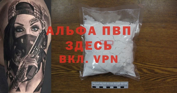 гидра Новодвинск