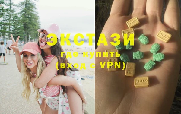 гидра Новодвинск