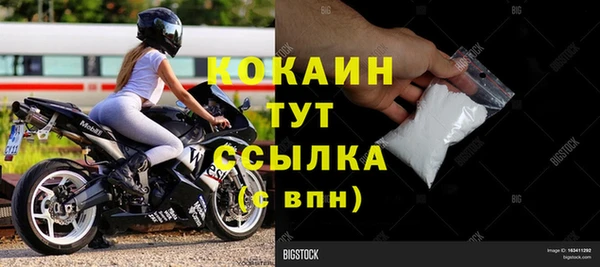 крисы Бикин