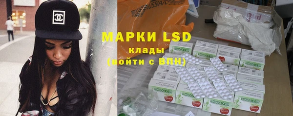 гидра Новодвинск