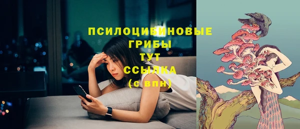 spice Новозыбков