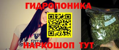2c-b Камышлов